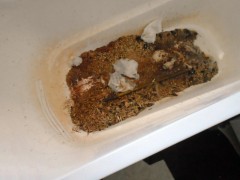 Ugradnja kade Stari Grad